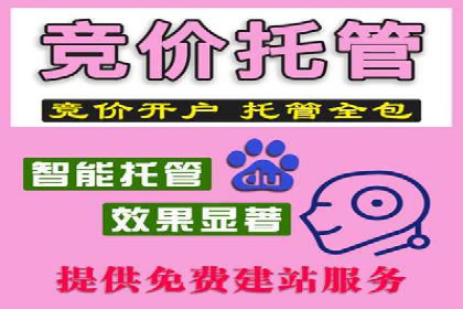 SEM代运营推广公司案例，助力企业品牌影响力提升